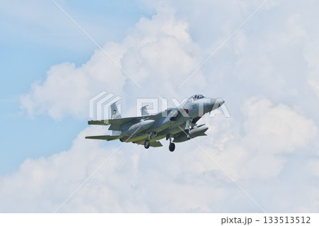 着陸態勢の第306飛行隊のF-15J 133513512