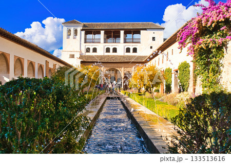 グラナダの世界遺産・アルハンブラ宮殿の絶景 グラナダの世界遺産・アルハンブラ宮殿の絶景 133513616