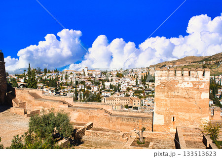 グラナダの世界遺産・アルハンブラ宮殿の絶景 グラナダの世界遺産・アルハンブラ宮殿の絶景 133513623