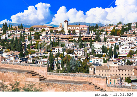 グラナダの世界遺産・アルハンブラ宮殿の絶景 グラナダの世界遺産・アルハンブラ宮殿の絶景 133513624