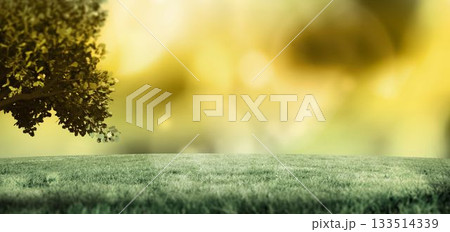 Flat design is showing tree branch over grassy field, glowing golden bokeh backdrop Flat design is showing tree branch over grassy field, glowing golden bokeh backdrop 133514339