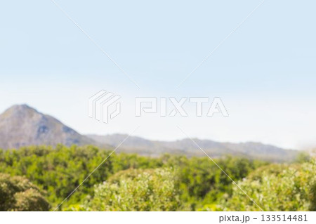 View of landscape on a sunny day View of landscape on a sunny day 133514481