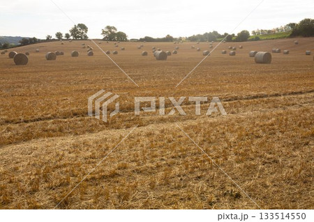 Hay bale on cultivated farm field against sky Hay bale on cultivated farm field against sky 133514550