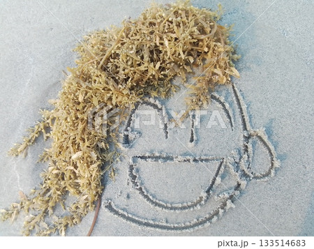 海辺のスマイル 海藻 海辺のスマイル 海藻 133514683