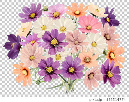 Colorful watercolor cosmos bouquet (landscape size) 133514774