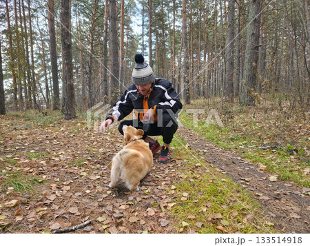 Man Playing with Corgi Dog in Autumn Forest Man Playing with Corgi Dog in Autumn Forest 133514918