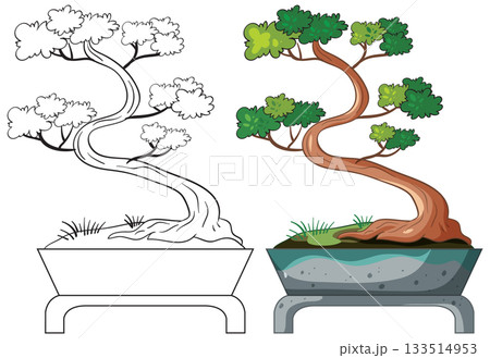 Side-by-Side Vector Illustration of Bonsai Tree in Pot Side-by-Side Vector Illustration of Bonsai Tree in Pot 133514953