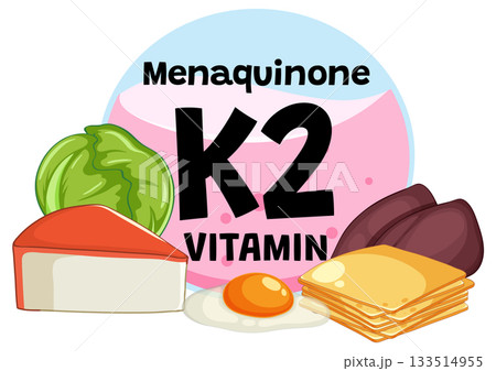 Vitamin K2 Rich Foods and Menaquinone Sources Vector Illustration 133514955