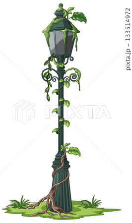 Overgrown Street Lamp with Climbing Green Vines 133514972
