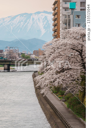 Beautiful Iwate mountain and Kitakami river with flowers blooming in Spring season, cityscape against blue sky in Morioka city, Iwate prefecture, Japan. famous Landmark Travel and Vacation destination 133515044