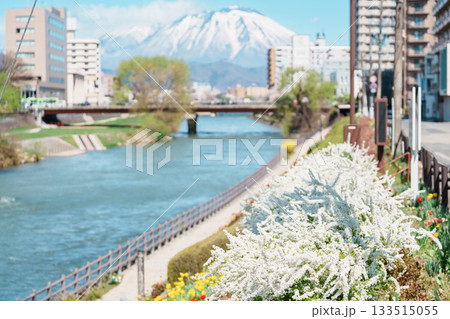 Beautiful Iwate mountain and Kitakami river with flowers blooming in Spring season, cityscape against blue sky in Morioka city, Iwate prefecture, Japan. famous Landmark Travel and Vacation destination 133515055