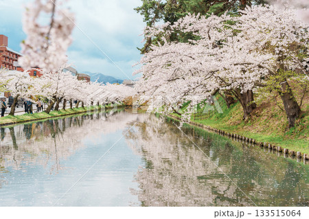 Beautiful Hirosaki Castle park with Sakura Cherry Blossom in Spring, traveling in Hirosaki city, Aomori, Tohoku, Japan. Landmark famous in Japan. Travel and Vacation destination Beautiful Hirosaki Castle park with Sakura Cherry Blossom in Spring, traveling in Hirosaki city, Aomori, Tohoku, Japan. Landmark famous in Japan. Travel and Vacation destination 133515064