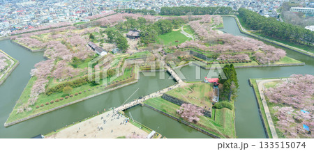 Beautiful Sakura Cherry Blossom in Spring season from Goryokaku Tower in Hakodate city, Hokkaido prefecture, Japan. landmark for tourists attractions in Hokkaido, Japan Travel and destination Beautiful Sakura Cherry Blossom in Spring season from Goryokaku Tower in Hakodate city, Hokkaido prefecture, Japan. landmark for tourists attractions in Hokkaido, Japan Travel and destination 133515074