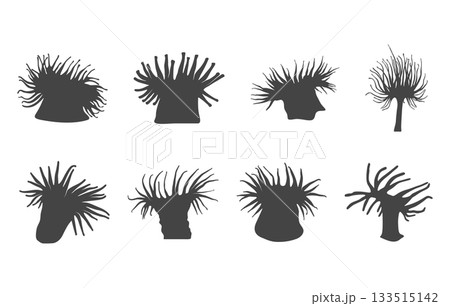 Sea anemone svg, Sea anemone silhouette, Sea anemone vector, Anemone svg, Sea anemone drawing, Sea anemone icons. 133515142