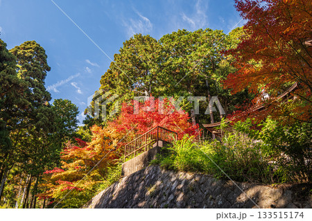 長命寺境内の紅葉 滋賀県近江八幡市 長命寺境内の紅葉 滋賀県近江八幡市 133515174