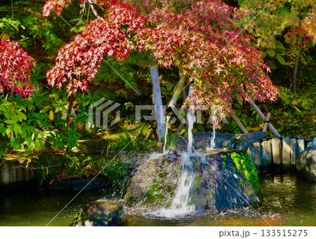 長谷寺の紅葉 長谷寺の紅葉 133515275