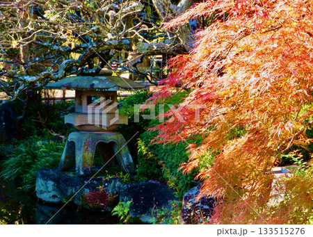 長谷寺の紅葉 長谷寺の紅葉 133515276