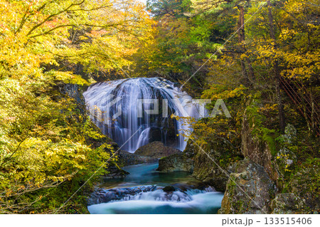 【山形県_東根市】落差10m、幅15mの豪快な秋の関山大滝（せきやまおおたき） 133515406
