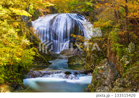 【山形県_東根市】落差10m、幅15mの豪快な秋の関山大滝(せきやまおおたき) 【山形県_東根市】落差10m、幅15mの豪快な秋の関山大滝(せきやまおおたき) 133515420