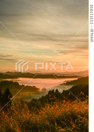 雲海が広がる星峠の朝景色 133515916