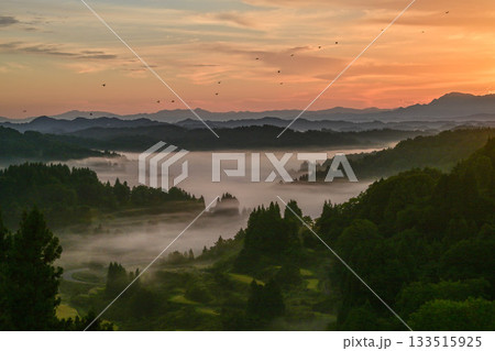 雲海が広がる星峠の朝景色 133515925