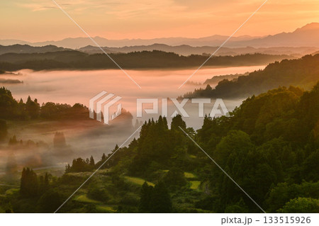 雲海が広がる星峠の朝景色 133515926