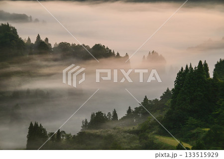 雲海が広がる星峠の朝景色 133515929