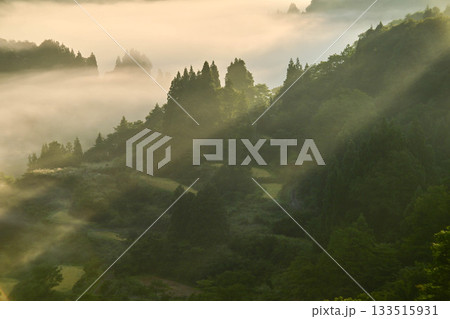 雲海が広がる星峠の朝景色 133515931