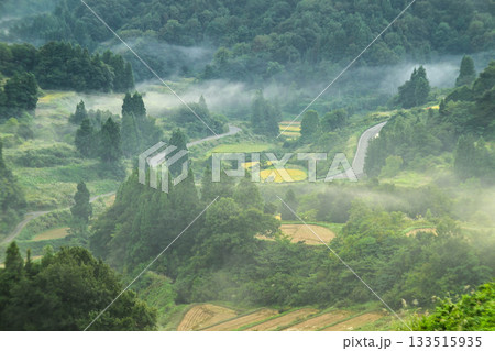 雲海が広がる星峠の朝景色 133515935