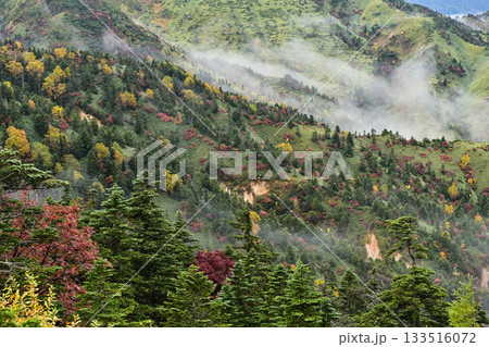 志賀高原横手山の紅葉 志賀高原横手山の紅葉 133516072