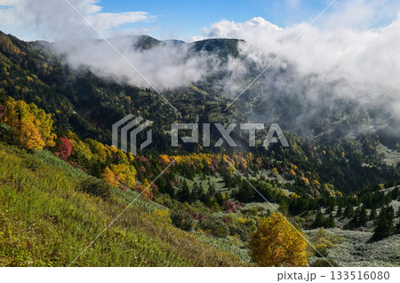 志賀高原横手山の紅葉 133516080