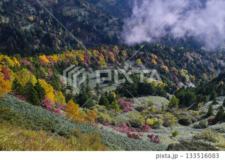 志賀高原横手山の紅葉 133516083