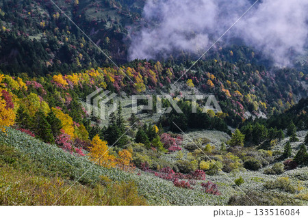 志賀高原横手山の紅葉 志賀高原横手山の紅葉 133516084
