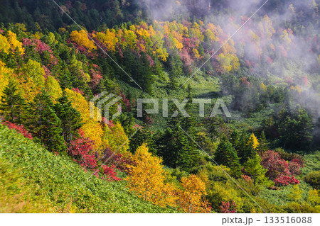 志賀高原横手山の紅葉 志賀高原横手山の紅葉 133516088