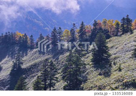 志賀高原横手山の紅葉 志賀高原横手山の紅葉 133516089