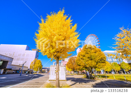 日本の横浜都市景観11月22日。センター北駅前、都築阪急の観覧車などを望む 133516238