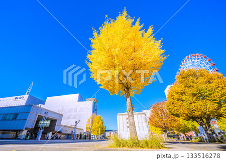 日本の横浜都市景観11月22日。センター北駅前、都築阪急の観覧車などを望む 日本の横浜都市景観11月22日。センター北駅前、都築阪急の観覧車などを望む 133516278