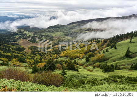 渋峠の朝景色 133516309