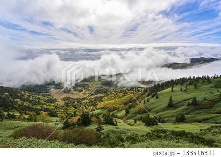 渋峠の朝景色 133516311