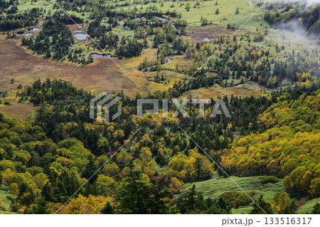 渋峠の朝景色 133516317