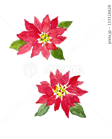 水彩手描きポインセチア 133516626