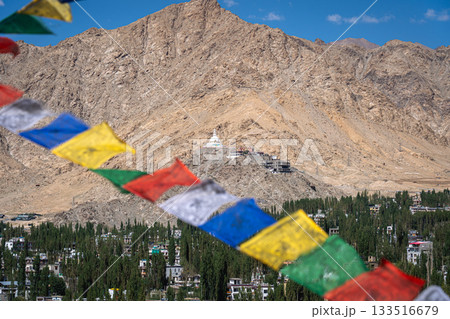 Shanti Stupa in Leh, Ladakh 133516679