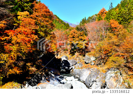 見返橋付近の早川を望む(山梨県早川町)【2025.11】 見返橋付近の早川を望む(山梨県早川町)【2025.11】 133516812