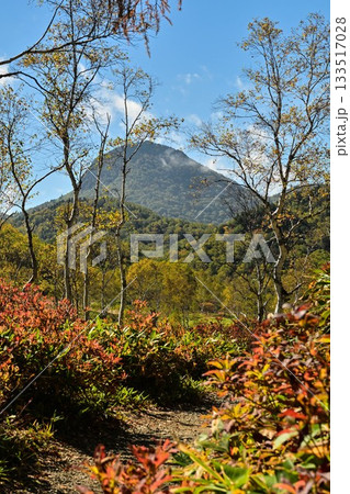 田ノ原湿原の秋 田ノ原湿原の秋 133517028