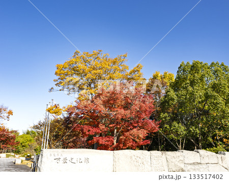 万葉文化館を彩る秋の紅葉と黄葉 133517402