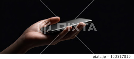 Autumn dog walk with border collie on leaf strewn forest path, warm sunlight and cozy outdoor mood 133517819