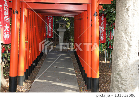 伊奴神社 133518006