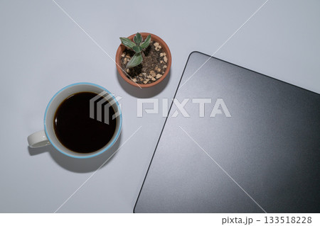 デスク上のコーヒー、植物、ノートパソコンの俯瞰 デスク上のコーヒー、植物、ノートパソコンの俯瞰 133518228