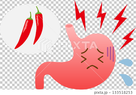 Stomach irritated by spicy food 133518253