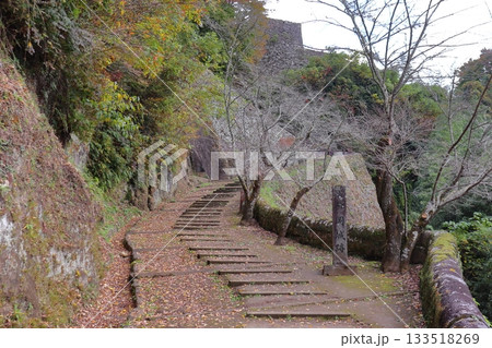 秋の岡城 登城口(大分県竹田市) 秋の岡城 登城口(大分県竹田市) 133518269